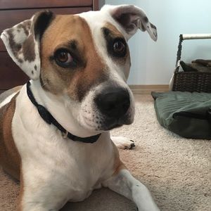 Meet your Posher, Joseph